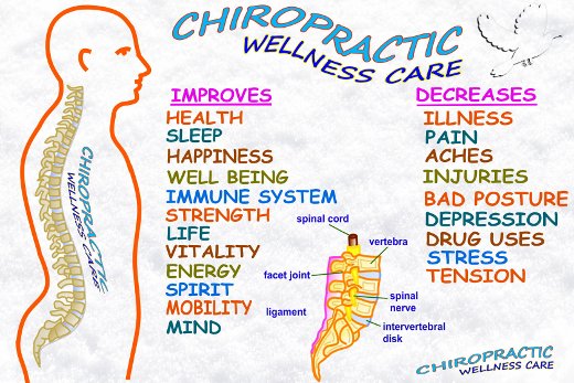 Chiropractic wellness care: what it improves and decreases